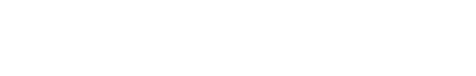 アキタは止まらない。走りつづける。